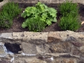 Hochbeet-1